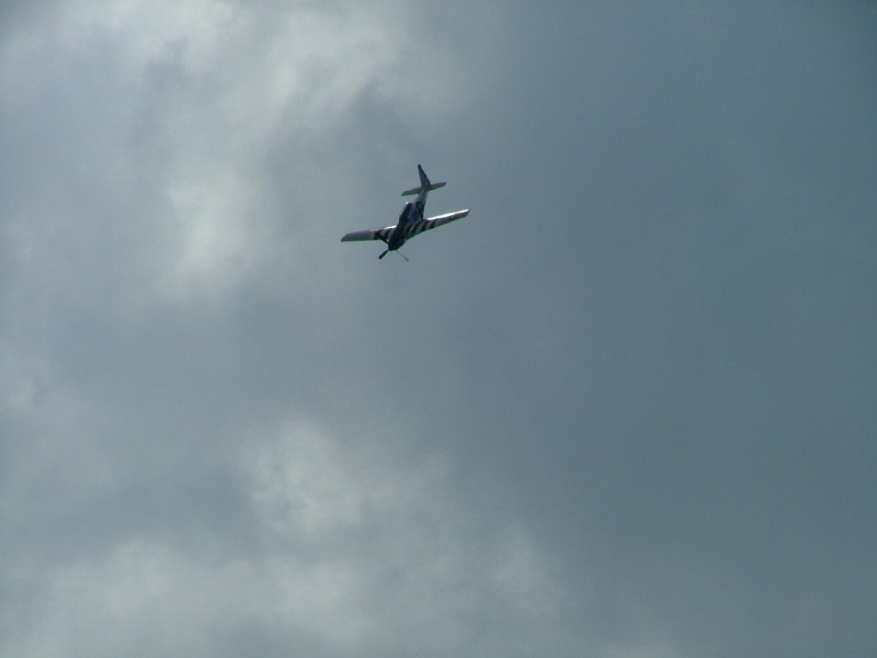 P-51 Mustang